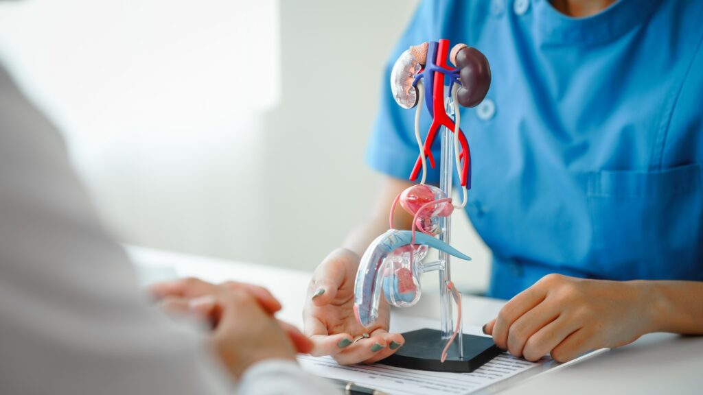 Urologia: Cura e Prevenzione per la Salute dell’Apparato Urinario e Genitale